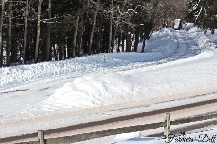 blizzard of 2017 - TheFarmersInTheDell.com