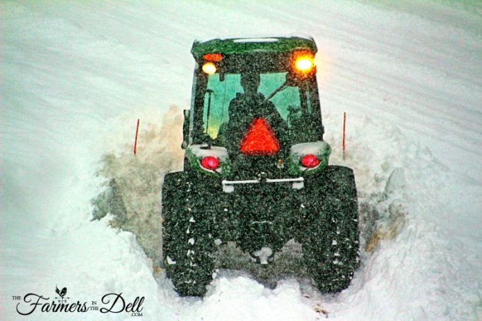 blizzard of 2017 - TheFarmersInTheDell.com