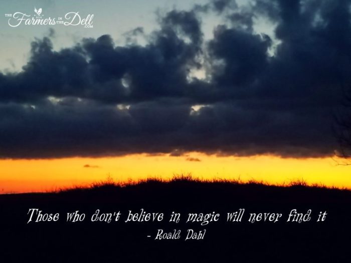 autumn sunset - TheFarmersInTheDell.com