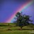 rainbow after thunderstorm - TheFarmersInTheDell.com