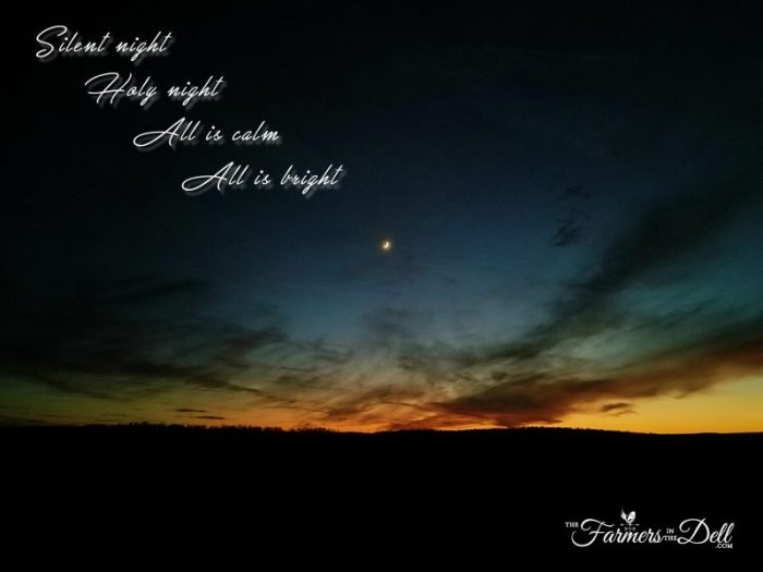 silent night - TheFarmersInTheDell.com