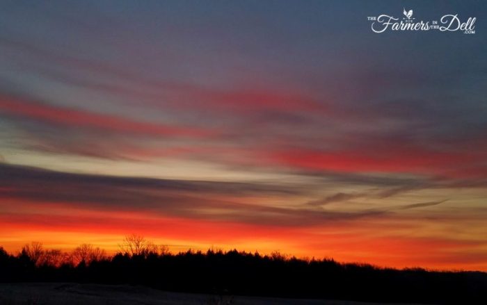 winter sunset - TheFarmersInTheDell.com