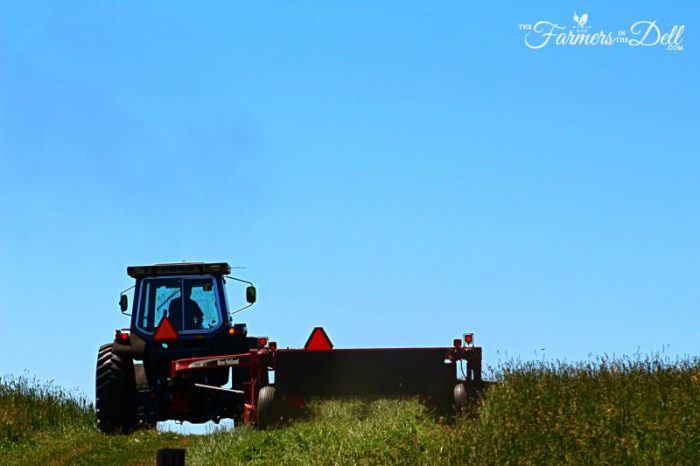 mowing hay - TheFarmersInTheDell.com