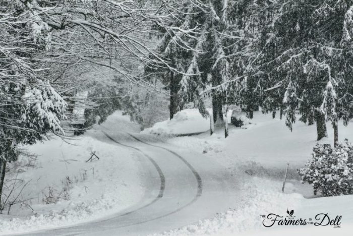snow covered road - TheFarmersInTheDell.com