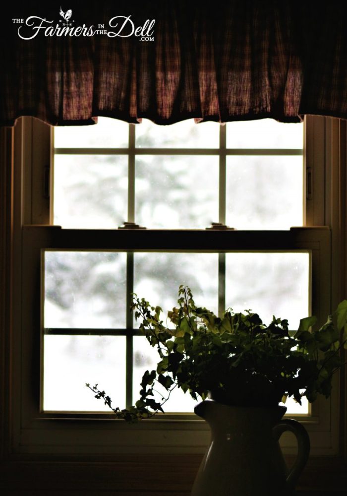 winter window - TheFarmersInTheDell.com