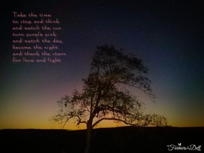 sunset - TheFarmersInTheDell.com