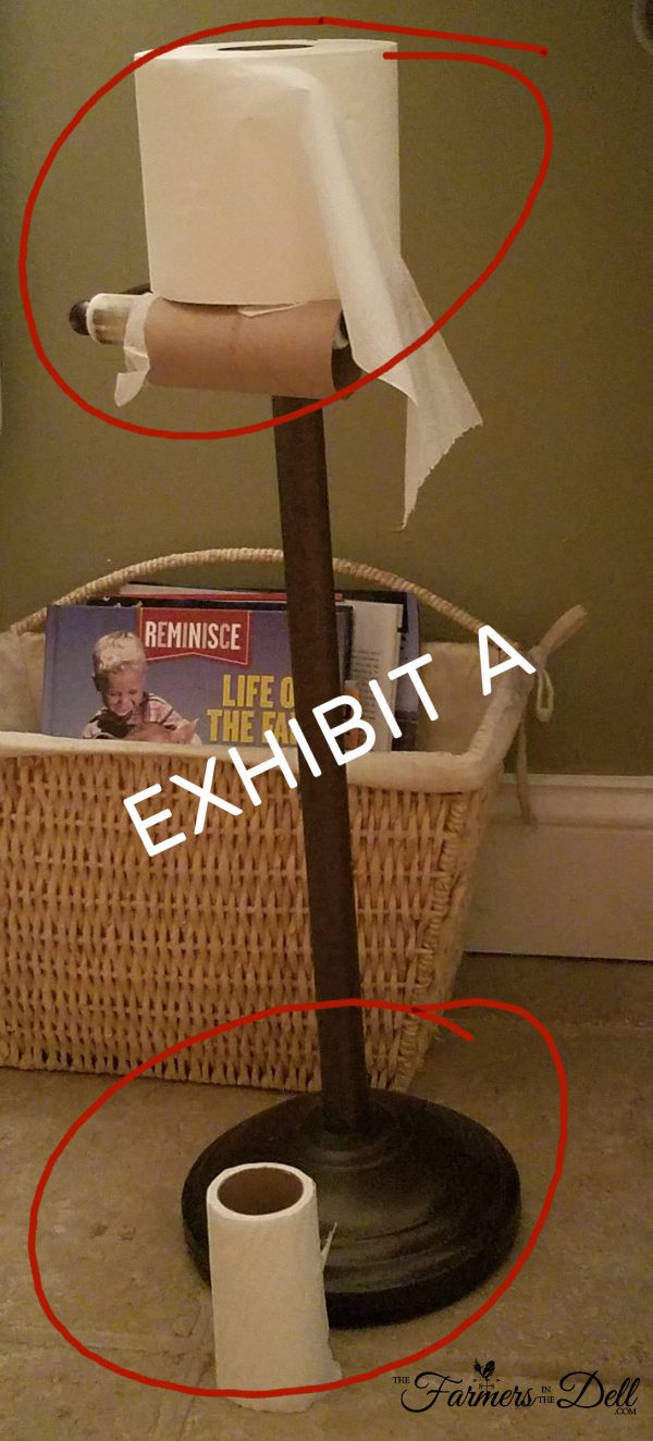 toilet paper - TheFarmersInTheDell.com