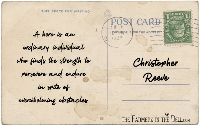 postcards from quarantine - TheFarmersInTheDell.com