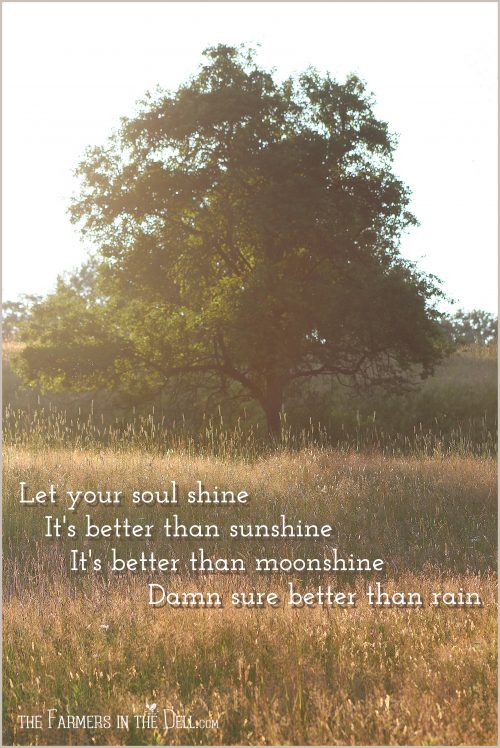 let your soul shine - TheFarmersInTheDell.com